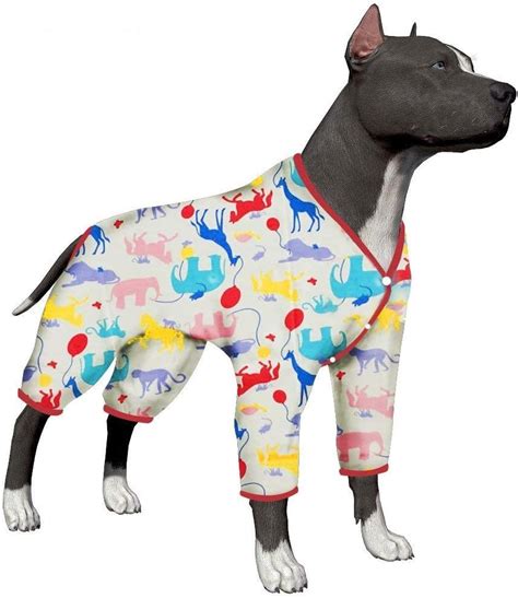 Los Mejores Pijamas Para Perros De 2020 Análisis