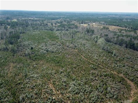 Columbia Marion County Ms Undeveloped Land For Sale Property Id