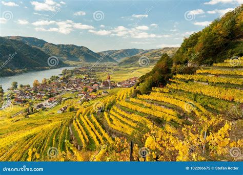 Weissenkirchen Wachau Austria In Autumn Colored Leaves And Vineyards
