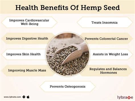 Hemp Seed Oil Benefits And Side Effects Cbd Oil Treatments