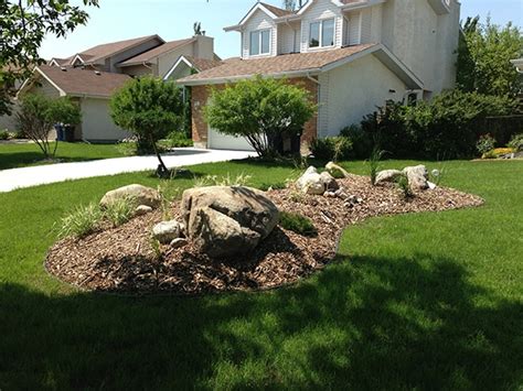 Front Yard Berm With Round Boulders Wood Mulch And Plants The Lawn