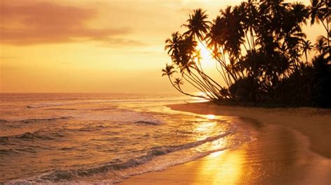Tropical Sunset Sri Lanka With Images Beach Pictures