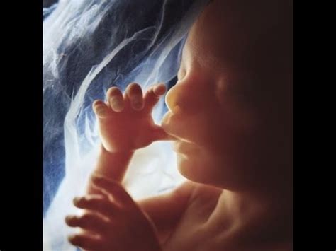 Healthy hair grows much faster than cut ends 9 Months in the Womb: Real Footage of Developing Baby ...