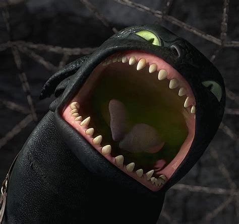 Toothless That S Some Impressive Teeth You Got There Bud Xd Httyd How To Train Your