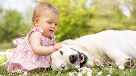 Download Beautiful Cute Baby And Dog Wallpaper