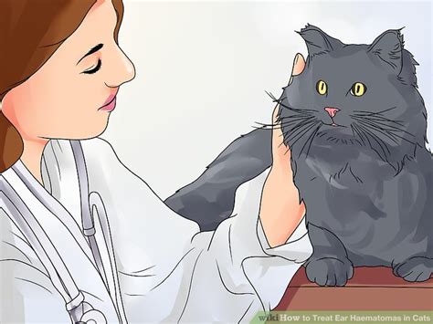 If untreated, infection and hearing loss may result. How to Treat Ear Haematomas in Cats: 15 Steps (with Pictures)