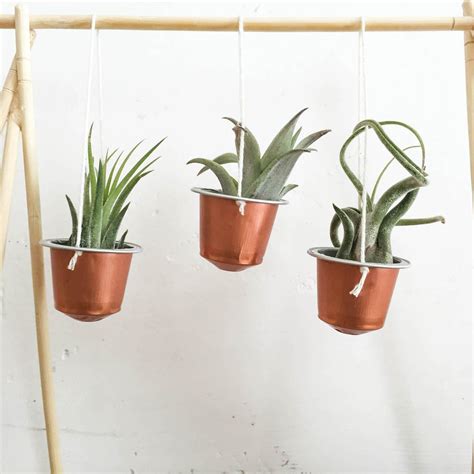 Nespresso coffee machine vertuo pods reusable straws target. DIY capsules nespresso en mini pots de fleurs - Spring in ...