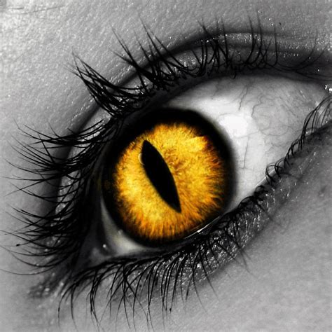 Changeling Eye Art Aesthetic Eyes Demon Eyes