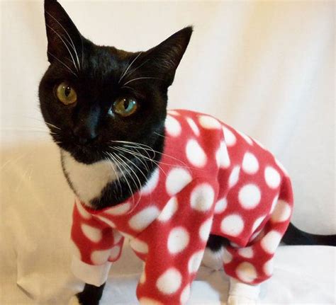 Cats In Pajamas Music Video Will Haunt Your Nightmeows