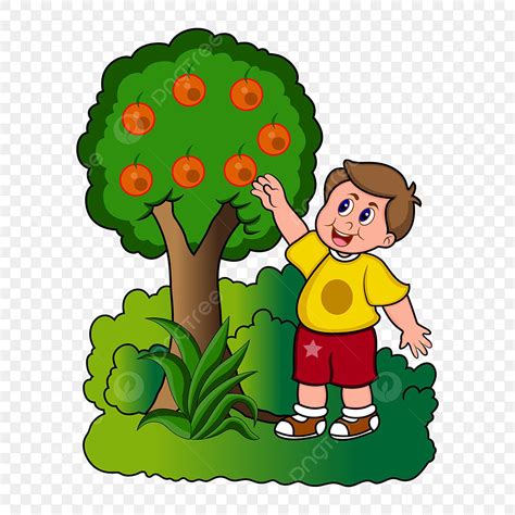 Picking Oranges Png Vector Psd And Clipart With Transparent