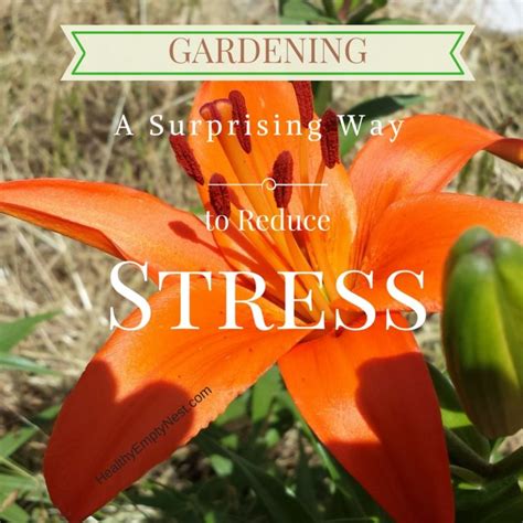 Gardening A Surprising Way To Reduce Stress