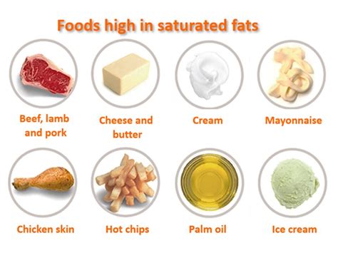Good Fats And Bad Fats Age Watch