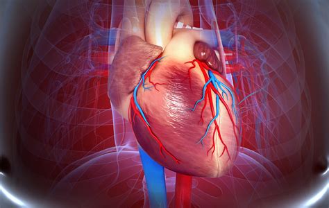 Risk Factors Differ By First Cardiovascular Disease Manifestations In