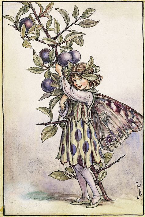 The Sloe Fairy Flower Fairies