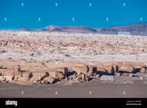 Argentinacatamarca Provincepuna Desertel Penoncampo De Piedra Pomez