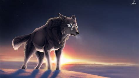 Maybe you would like to learn more about one of these? Magical wolf at sunset wallpaper | Bilder