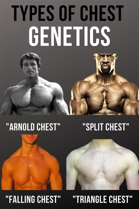 Type Of Chest Genetics Gym Tips Health Fitness How To Get Abs