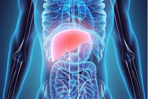 Healthy Liver Tips Gistfox News