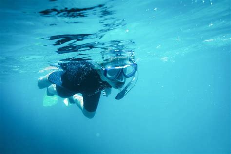 Kangaroo Island Ocean Safari Snorkel With Dolphins Seals