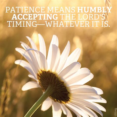 Patience Is Humbly Accepting