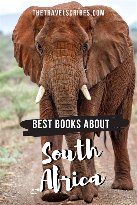 Best South African Books To Fuel Your Wanderlust The Travel Scribes