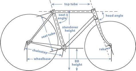 Bicycle Frame Geometry Terry Peloton