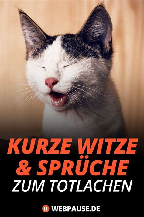 Auf unserer reise zu persönlicher größe ist es wichtig, dass wir über unsere rückschläge, ausrutscher und. Webseite im Wartungsmodus | Lustige witze zum totlachen ...