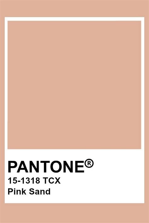 Recommendation Champagne Color Pantone 563