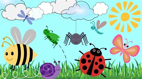 Bug Cartoons For Kids Learn Bug Names Creepy