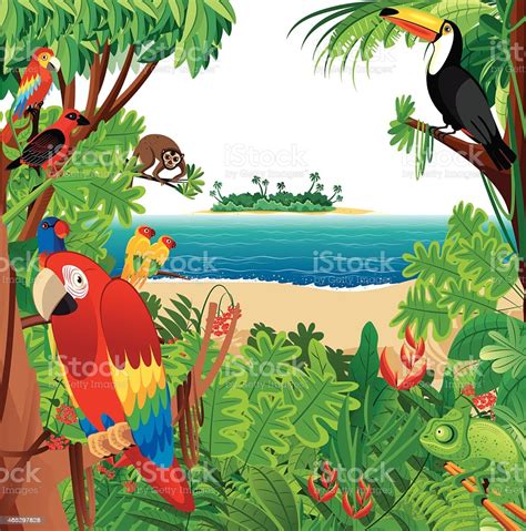 Check spelling or type a new query. Tropical Rainforest stock vector art 465297828 | iStock