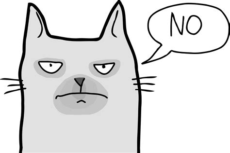 Grumpy Cat Icons Png Free Png And Icons Downloads