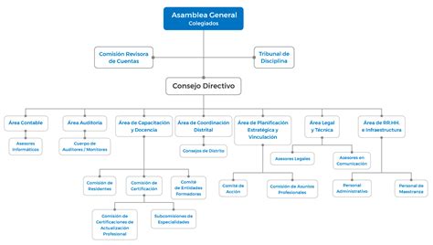 Organigrama Colegio De Bioquimicos De La Provincia De Cordoba