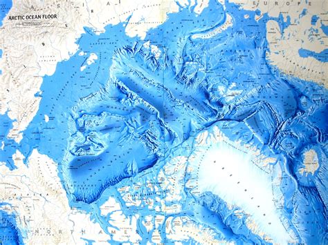 Detailed Floor Maps Of The Worlds Oceans Relief Map Cartography Map