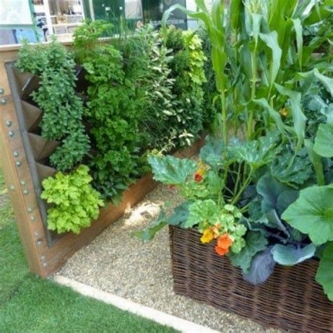 34 Beginners Guide For Productive Vegetable Garden 29
