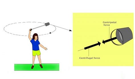 What Are Centripetal Acceleration And Centrifugal Force Science Abc