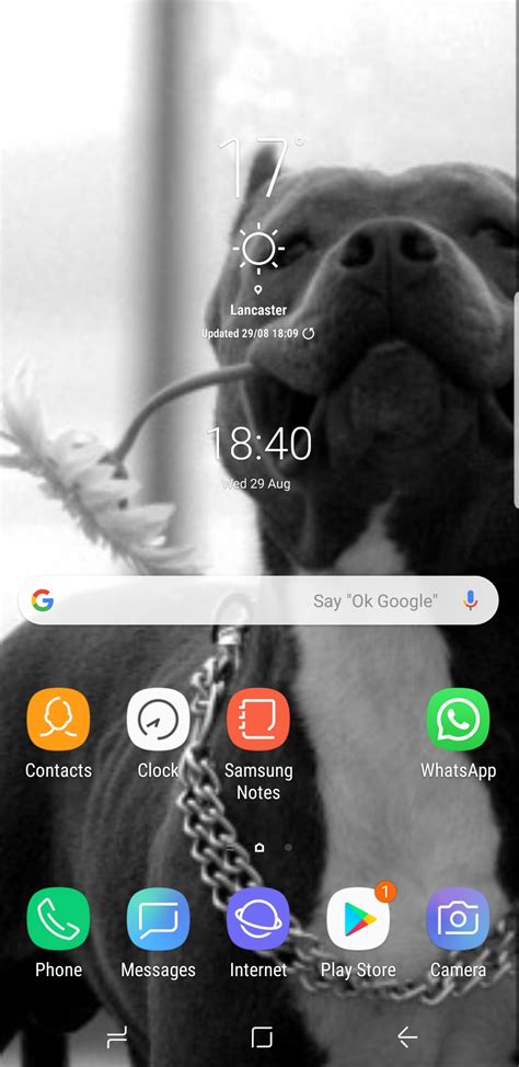 Solved Status Bar Notifications Tab On Home Screen Vanished Battery