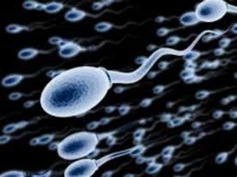 Secret Facts About Sperm