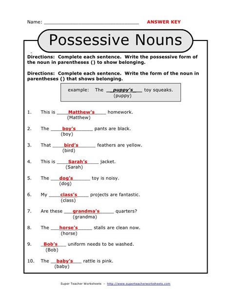 Possessive Nouns In Sentences Worksheet