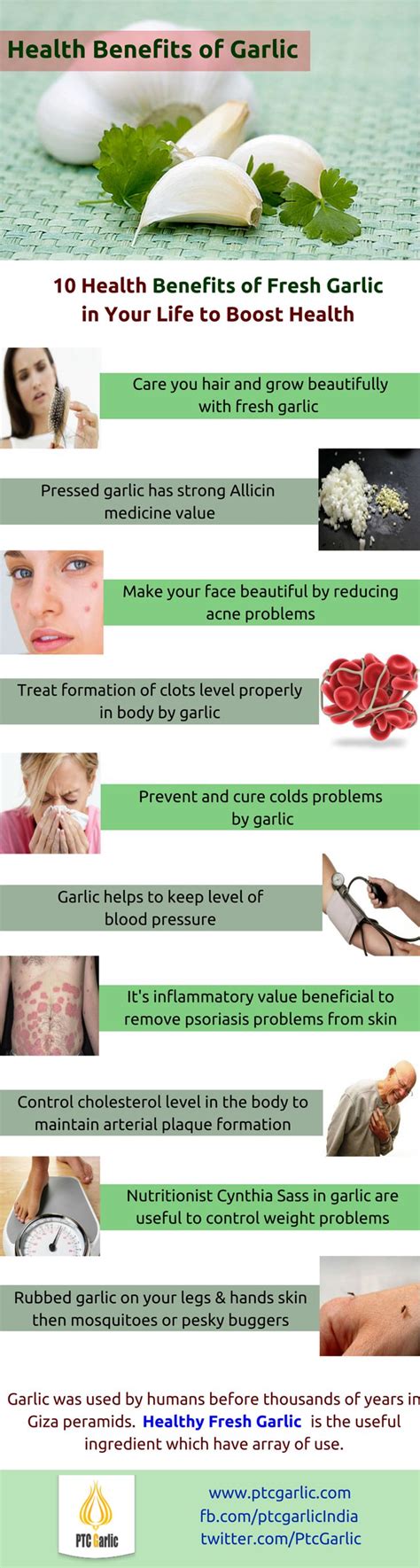 10 Health Benefits Of Fresh Garlic In Your Life To Boost Health