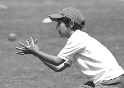 Free Photo Catching The Ball Ball Catch Catching Free Download