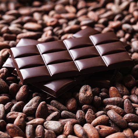 What Is Cocoa Percentage In Chocolate