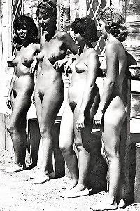 Hairy Pussies Photos Groups Of Naked People Vintage Edition Vol