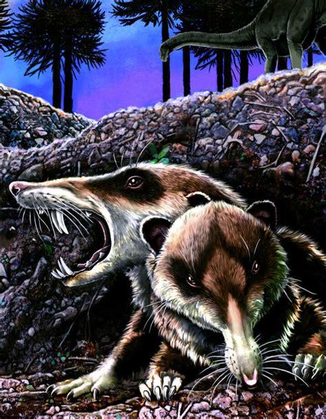 Scientists Unveil Fossil Of Saber Toothed Squirrel That Lived Among