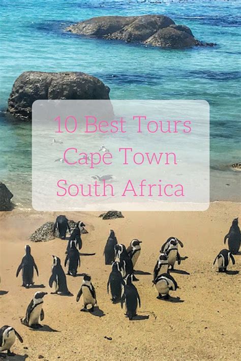 10 Best Cape Town Tours South Africa Cape Town Tour Cape Town South