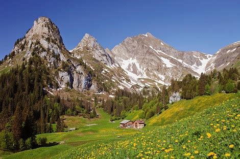 Aquarell berglandschaft tapete tenstickers : Tapete Berglandschaft - Bilder finden, die zum begriff ...