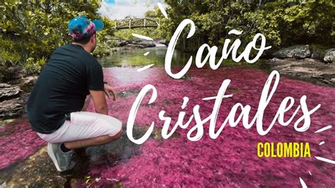 Caño Cristales Colombia Youtube