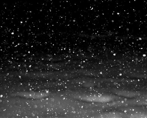 Snow Falling At Night Wallpaper
