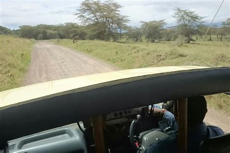 Tour Nairobi National Park Triphobo