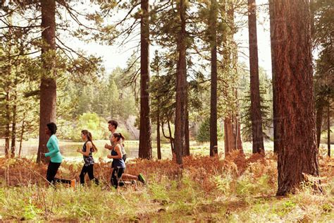 Group Of Four Young Adult Friends Running In A Forest Stock Photo