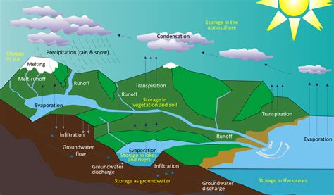 131 The Hydrological Cycle Physical Geology